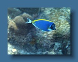 Helengeli 179